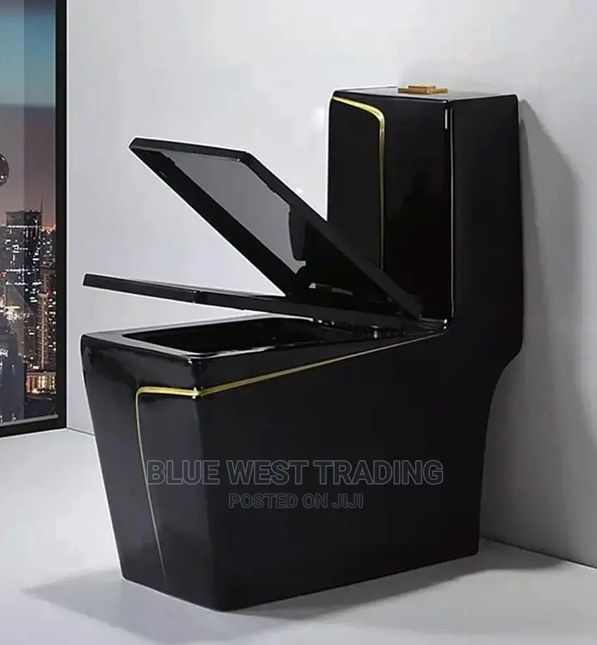 Black and Gold Water Closet