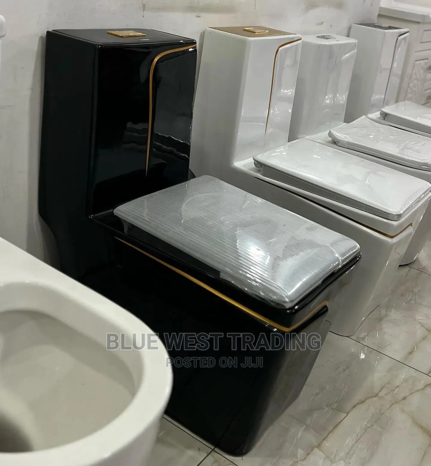 Black and Gold Water Closet