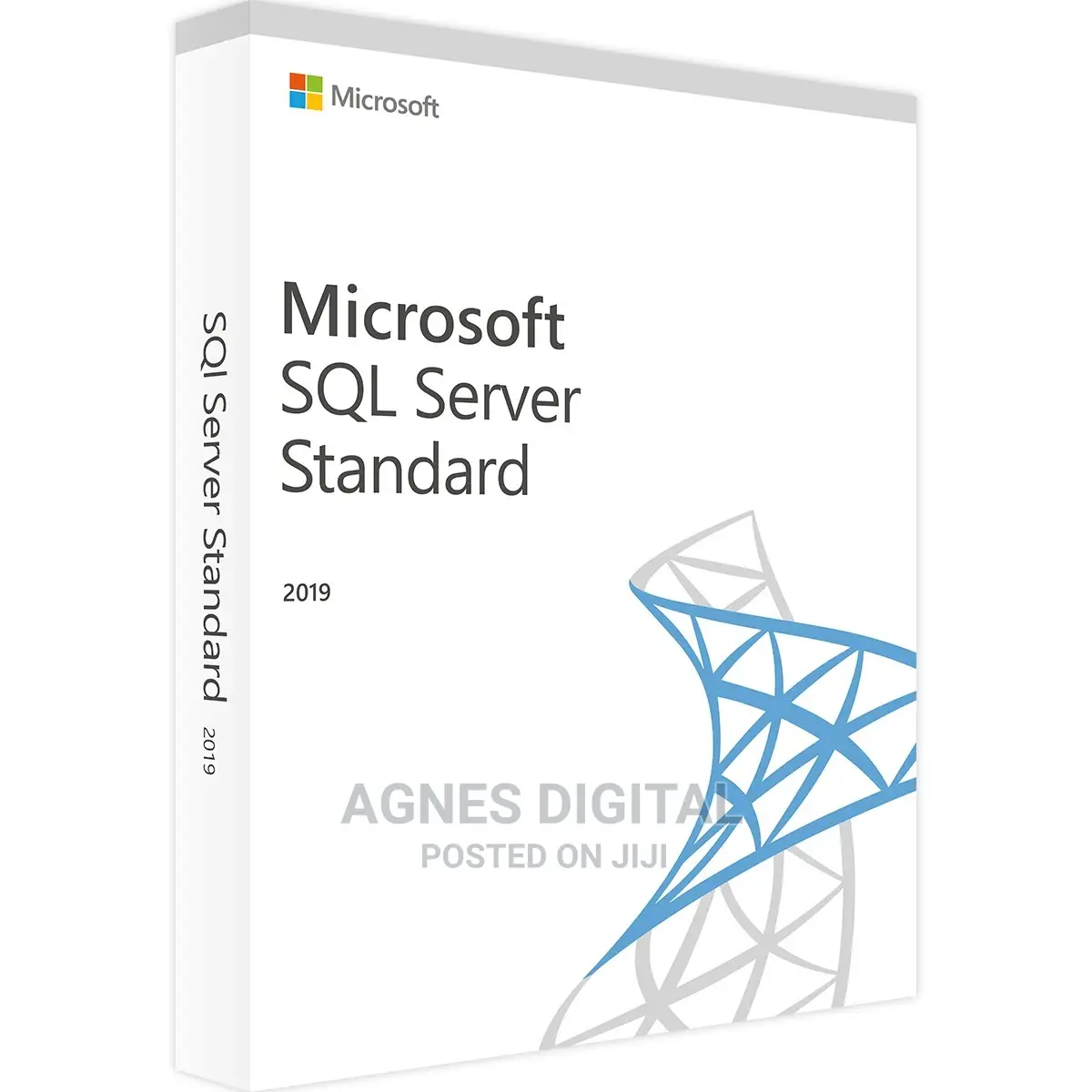 Microsoft SQL Server 2019 Standard 1PC (Genuine Key)