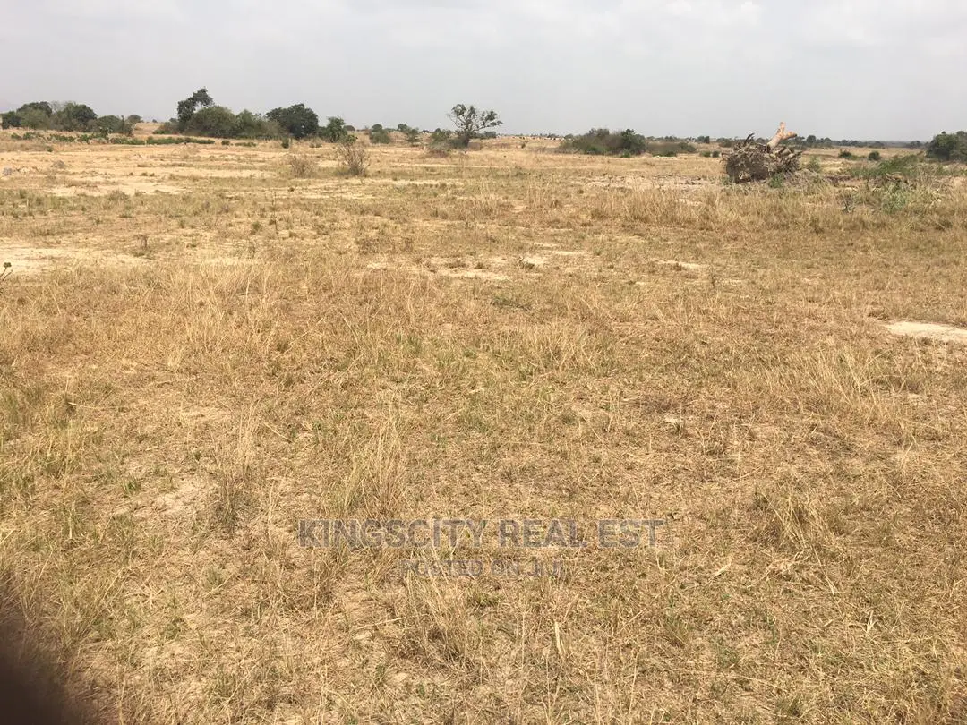 Serviced Lands
