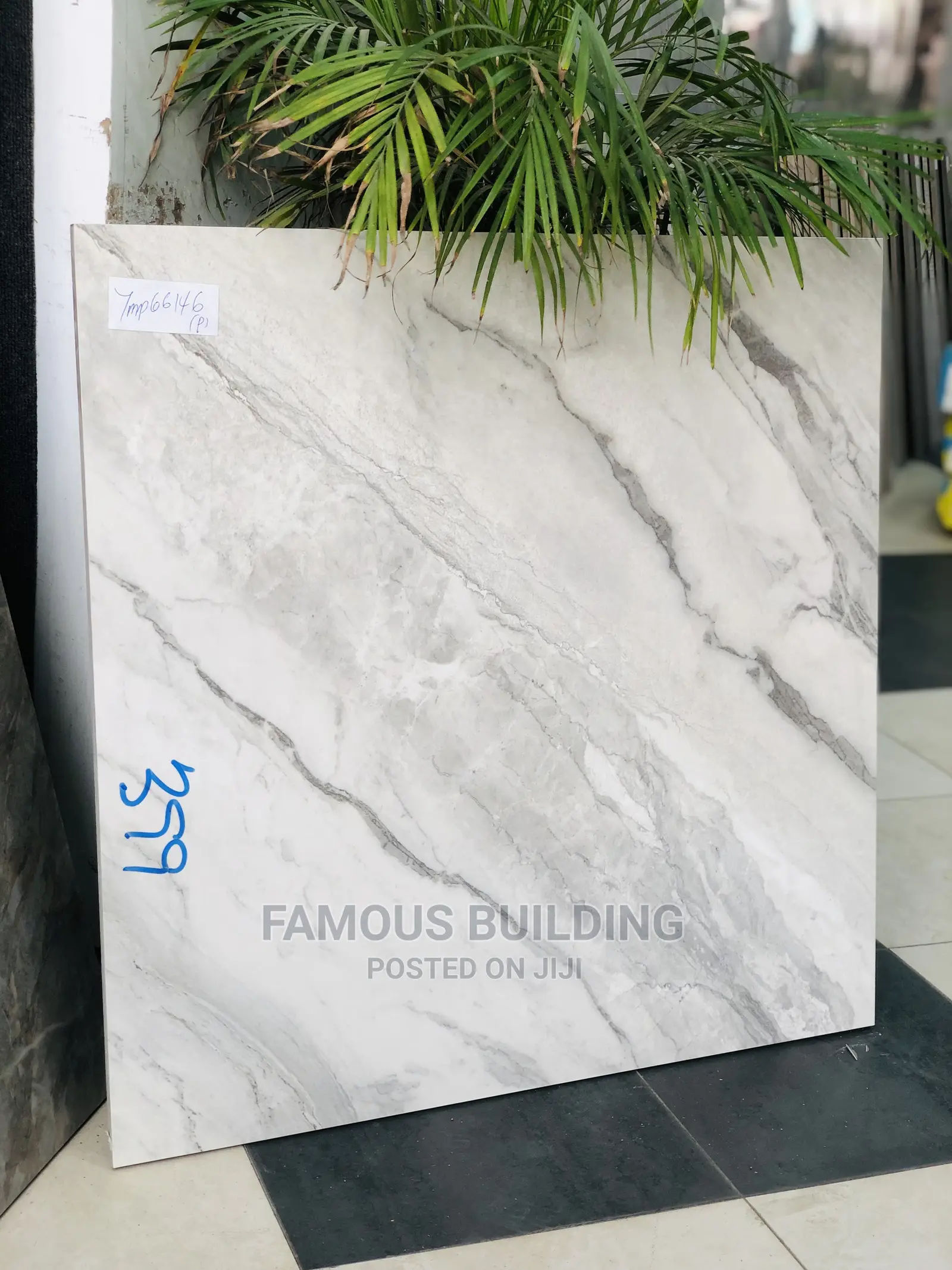 Porcelain 60/60 Floor Tiles
