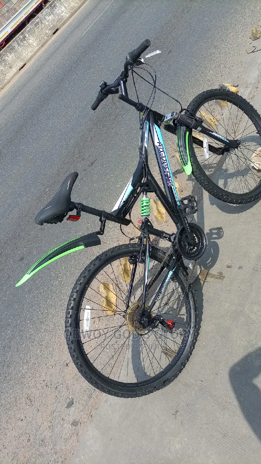 The Best Spring Bike