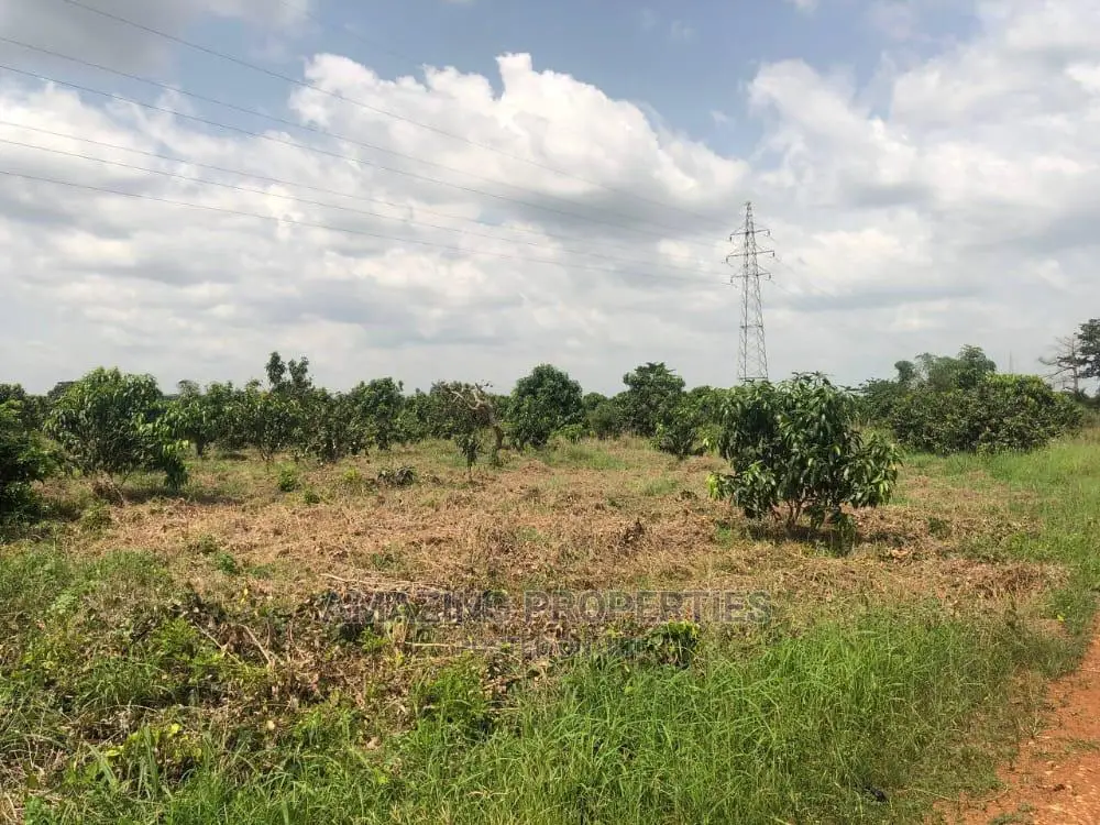 40 Acres of Land at Ashiyie