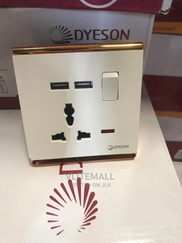 Dyeson Single Multi With 2USB (White Gold)