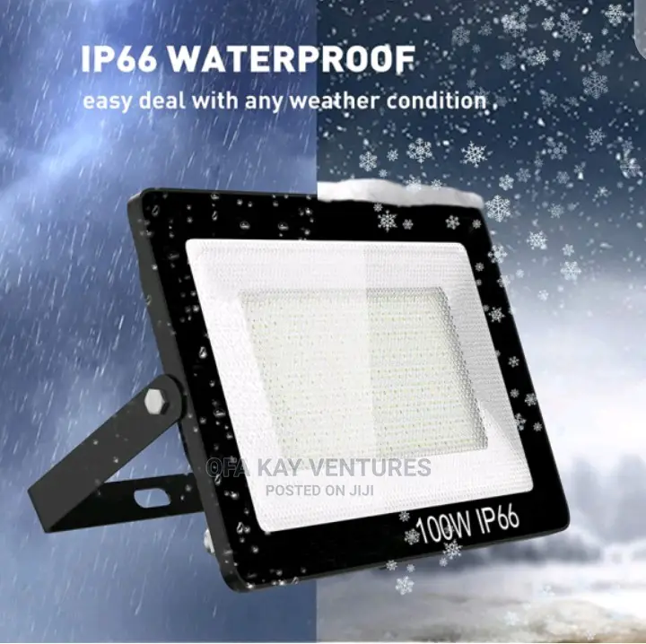 Leopard Cat Flood Light IP66 100W