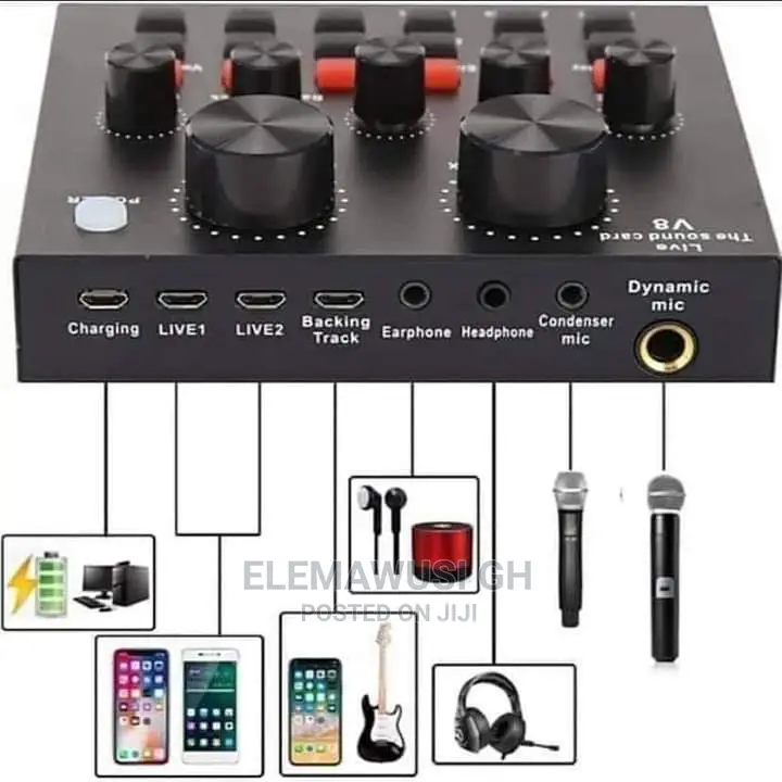 Professional Studio Condenser Microphone