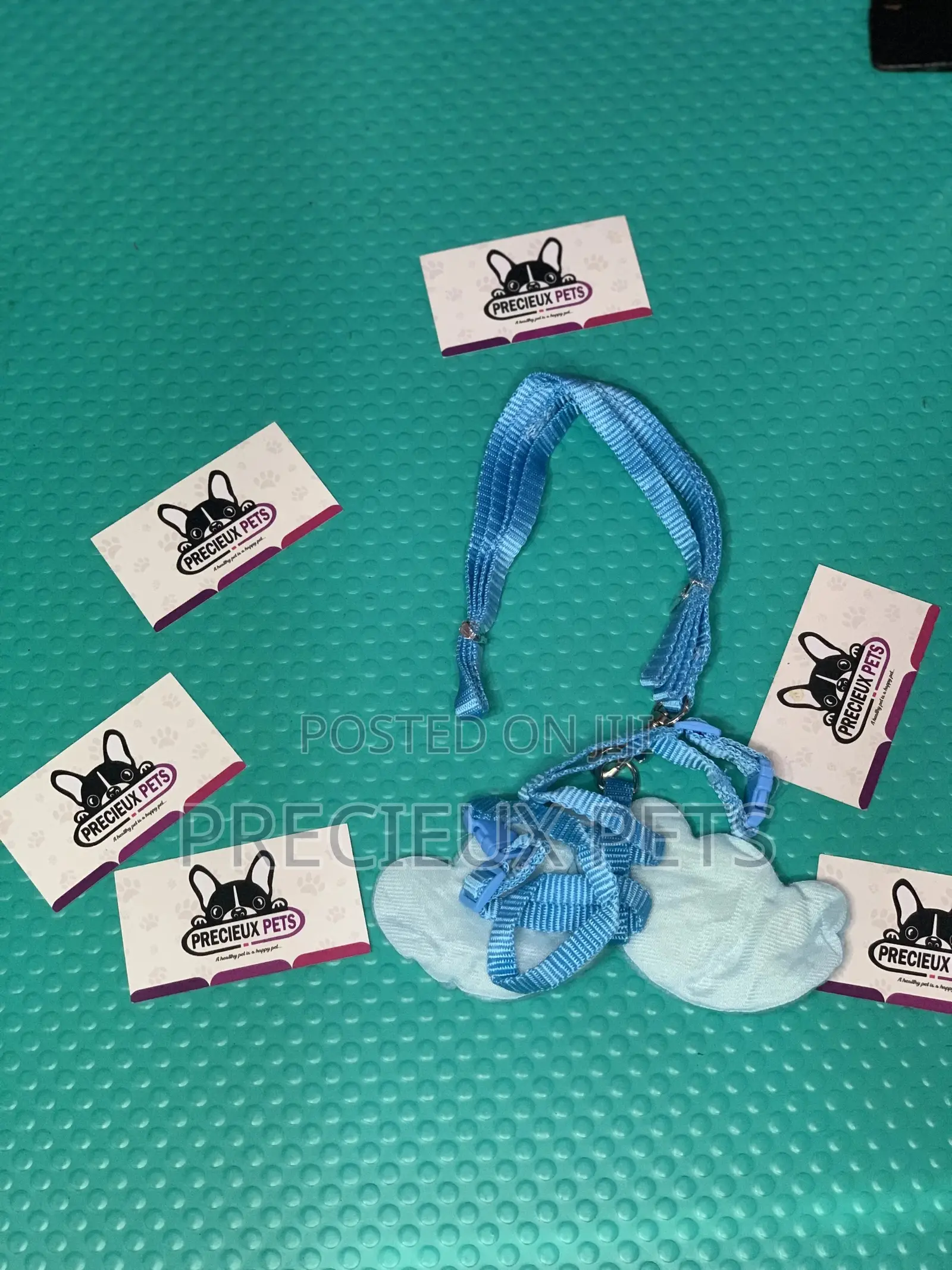 Toy Dog Clothings Series 0054