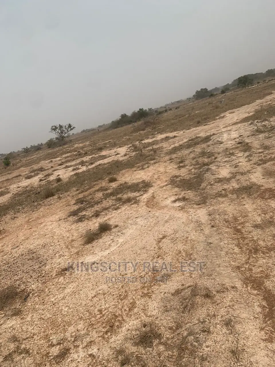 Serene and Good Acess Road Lands for Sale at Tsopoli