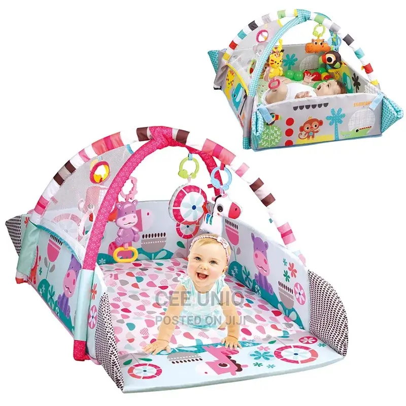 Activity Play Gym