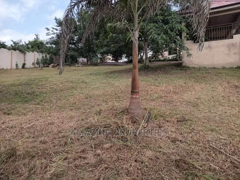 Cake Two Acres Land for Sale Opposite Afrikiko