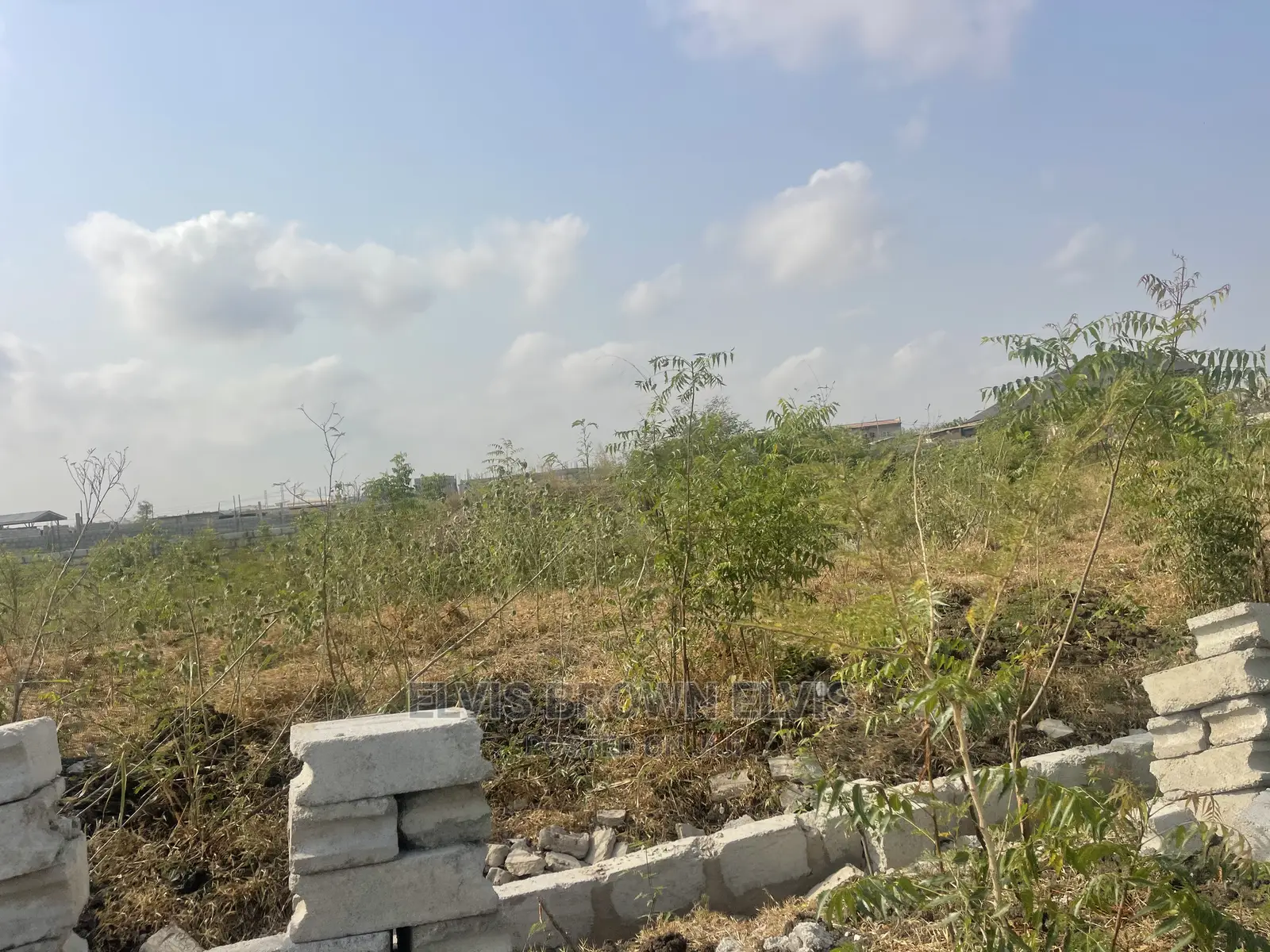 Buy a Genuine Title Land From Me Without Any Litigation