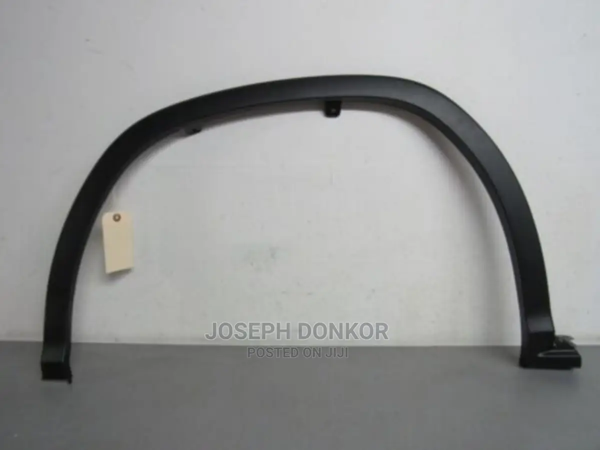 Lexus Rx350 2016,2017,2018 - 2022 Fender Moulding