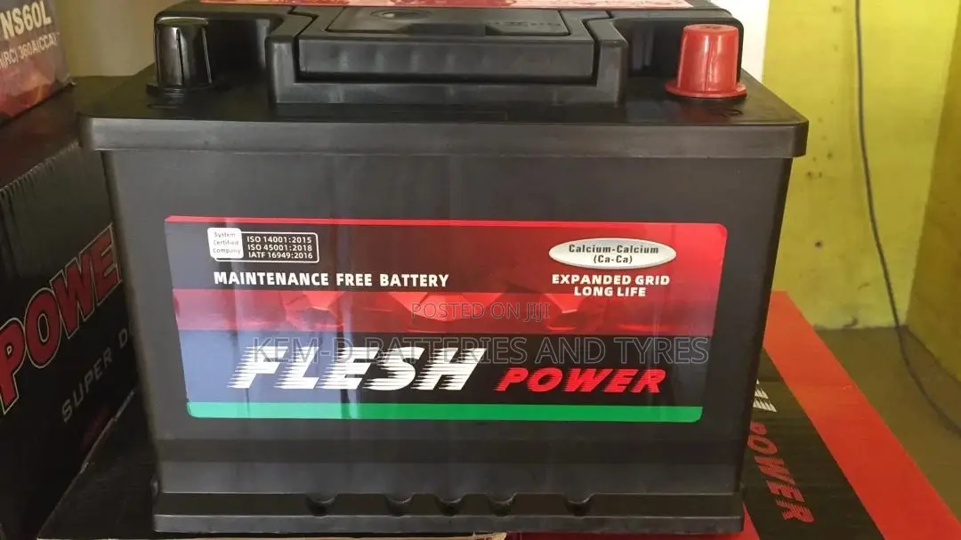 13plates Fles Power Battery - 55ah 12V
