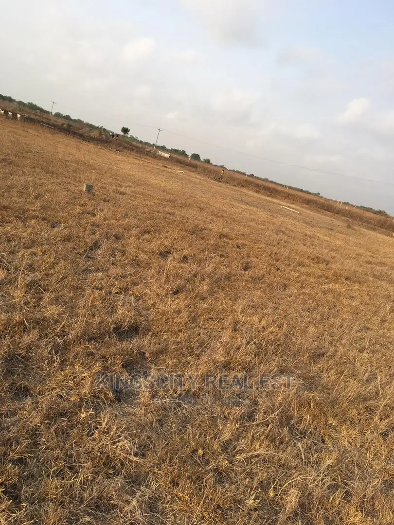 Secure Your Future With Affordable Litigation Free Lands