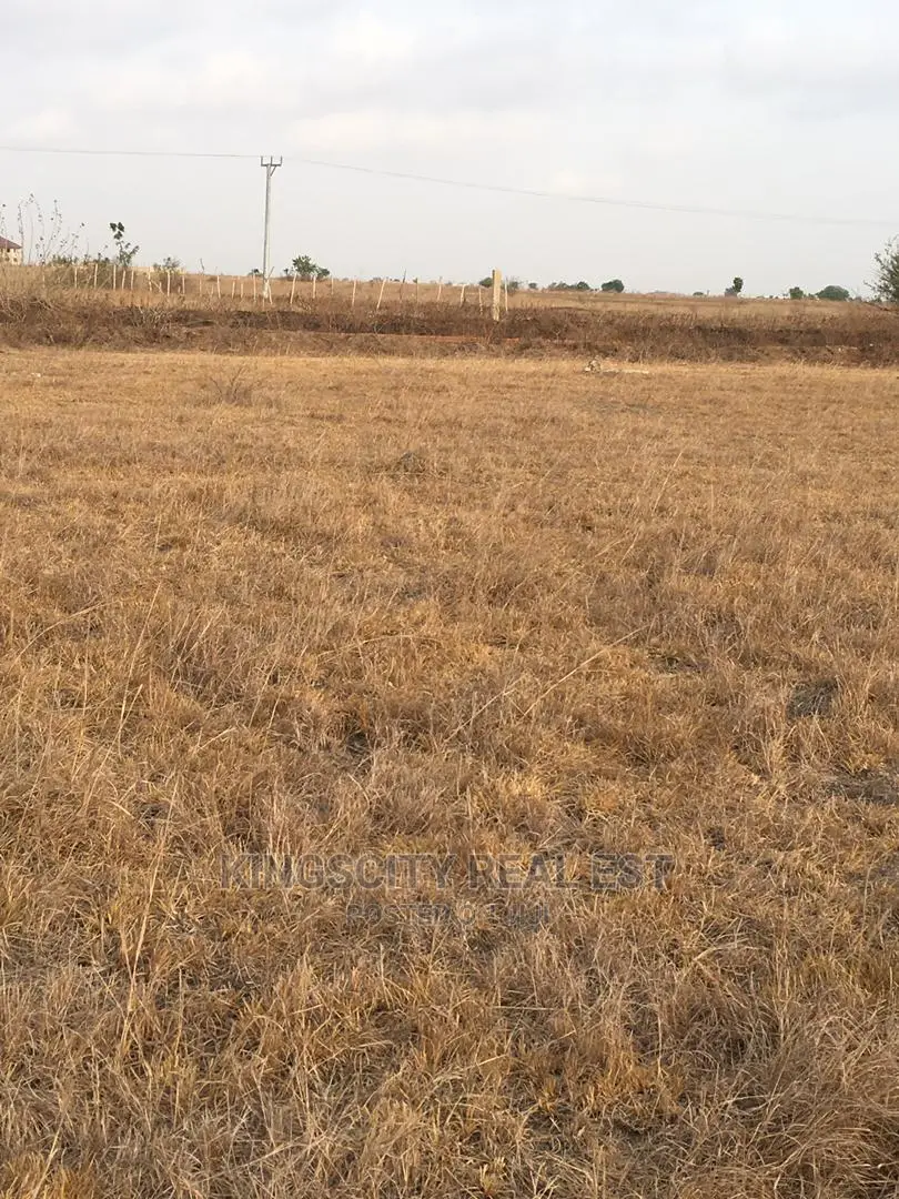 Beautifully Demarcated Lands at Affordable Prices