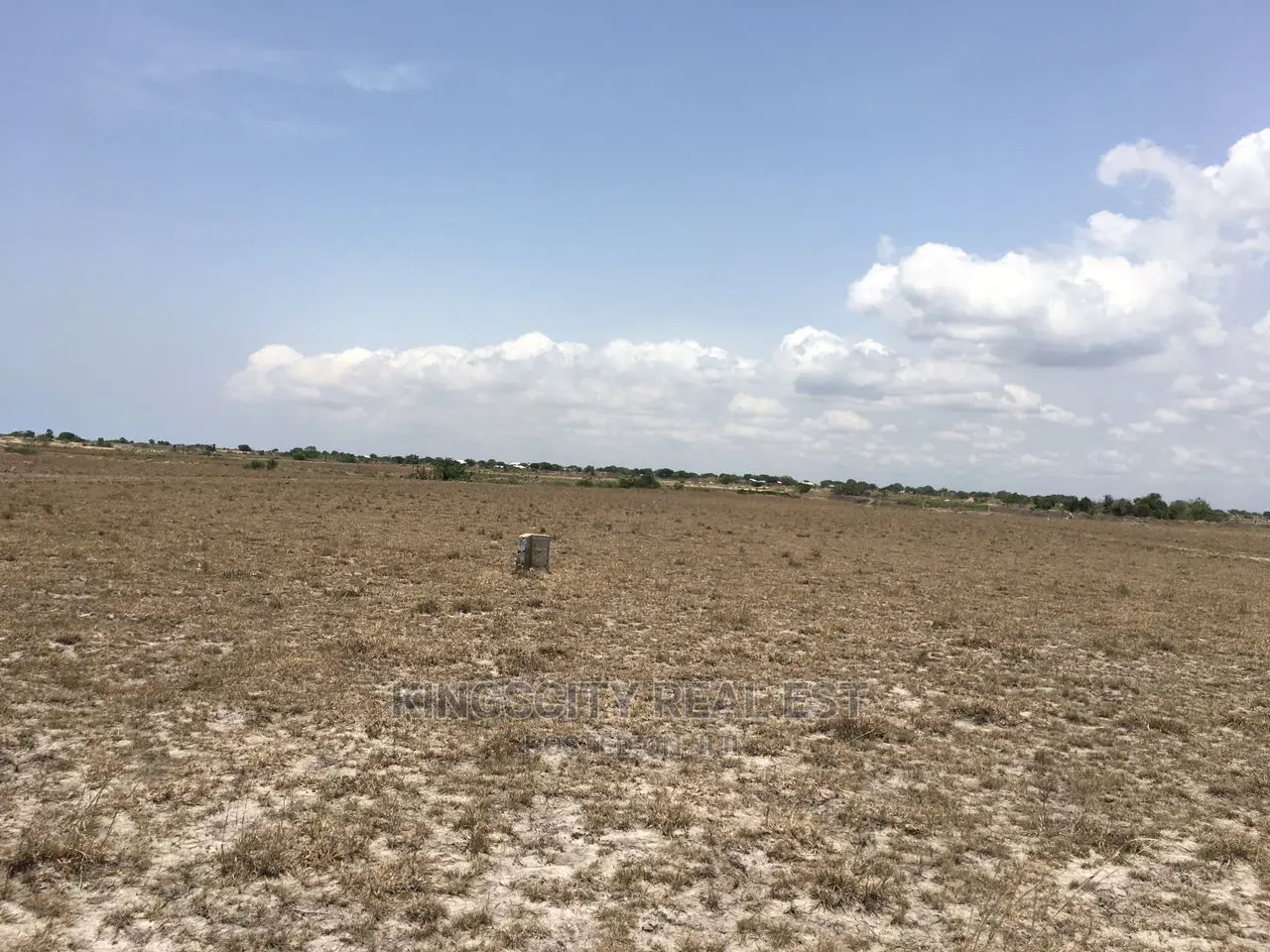 Well Measured Plots for Sale at Tsopoli