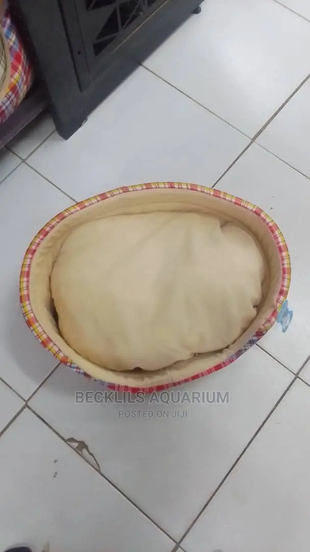 Quality Beds for Dogs