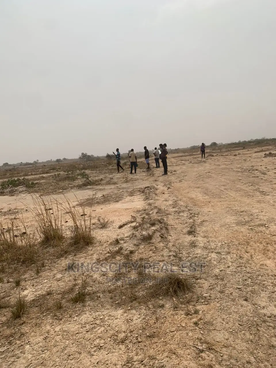 Invest in Land for a Scure Future
