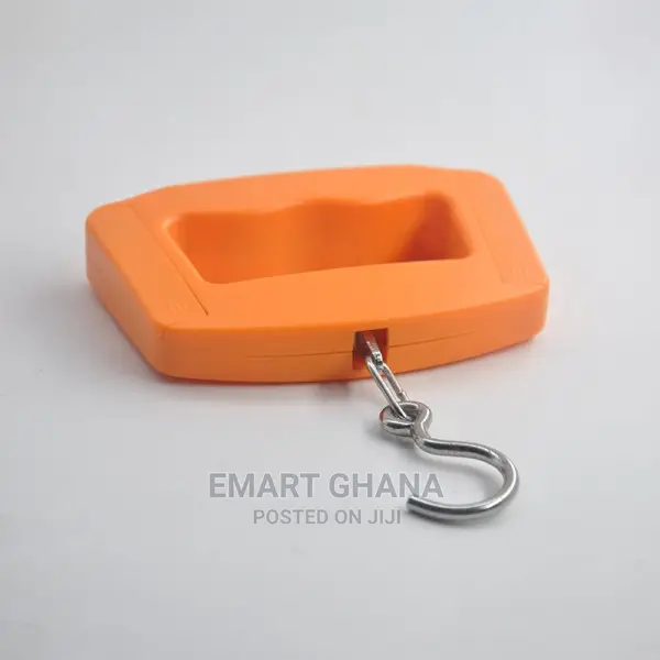 Constant Luggage Scale