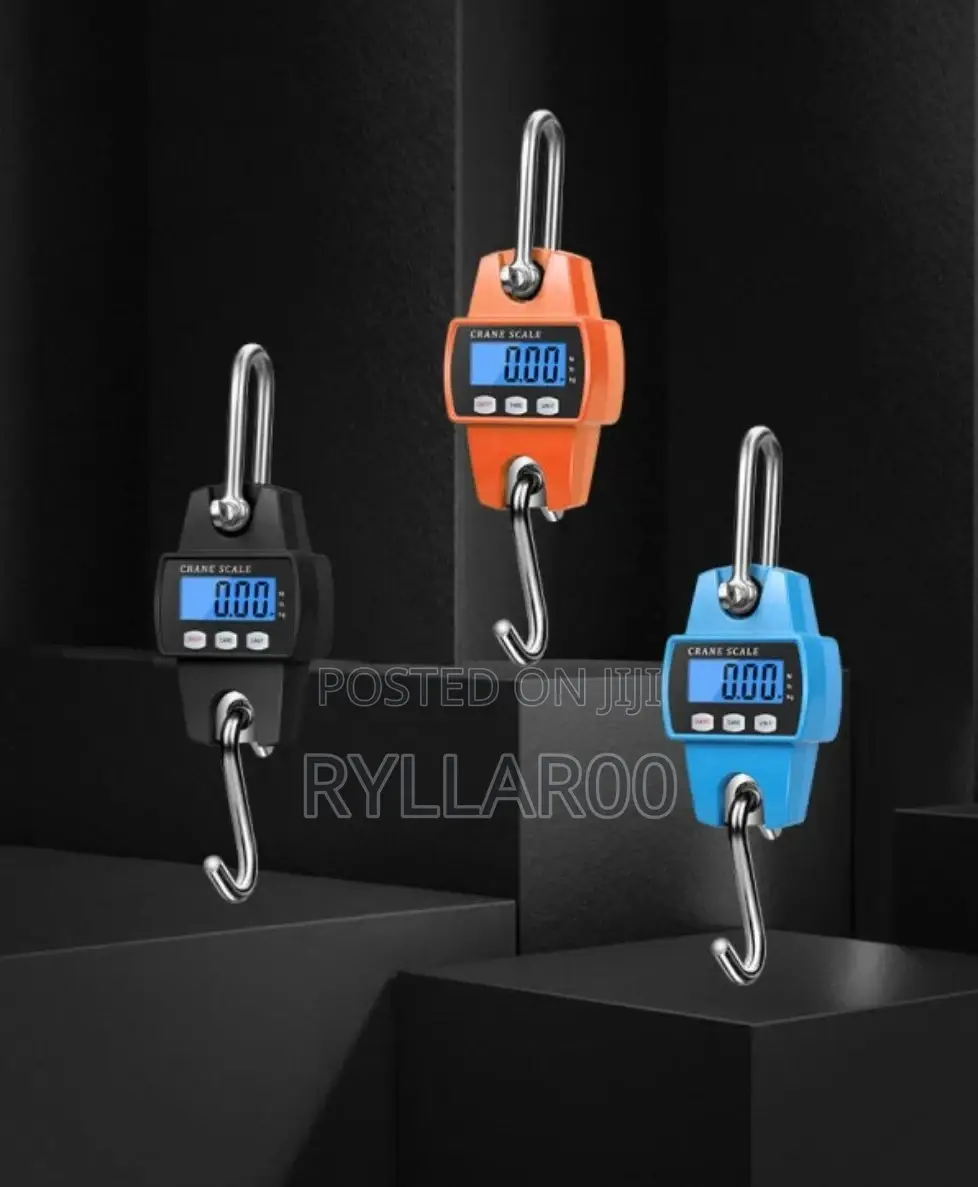 300kg Professional Crane Scale