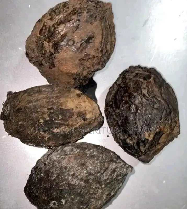 Odiiaba Seed