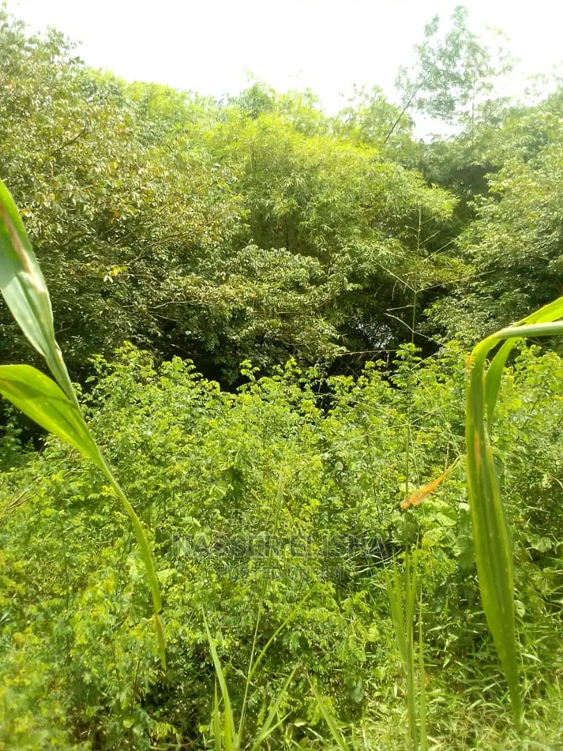 Farm Lands for Sale at Beposo