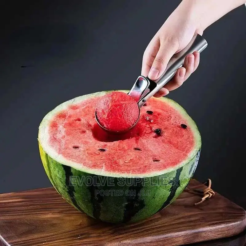 Ice Cream or Fruit Scoop