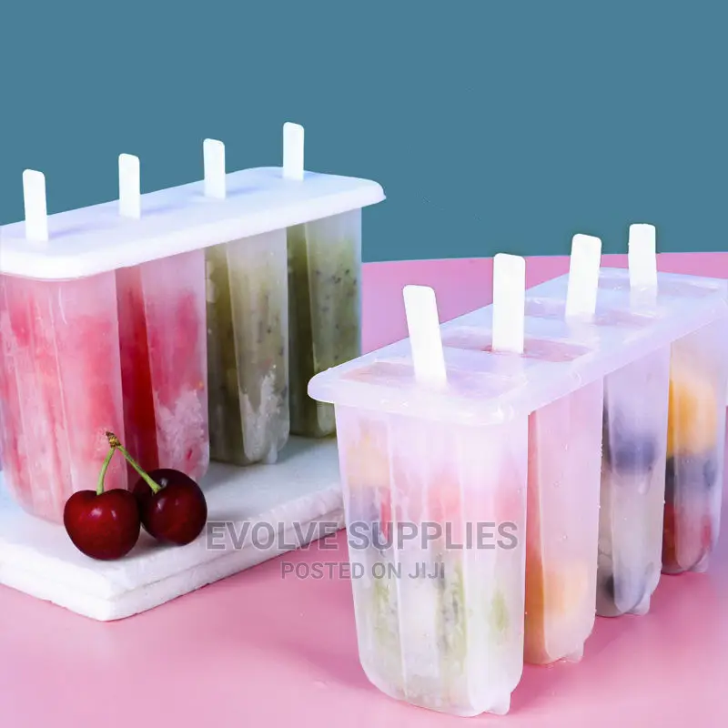 Plastic Popsicle Mould ( 4 Slot)