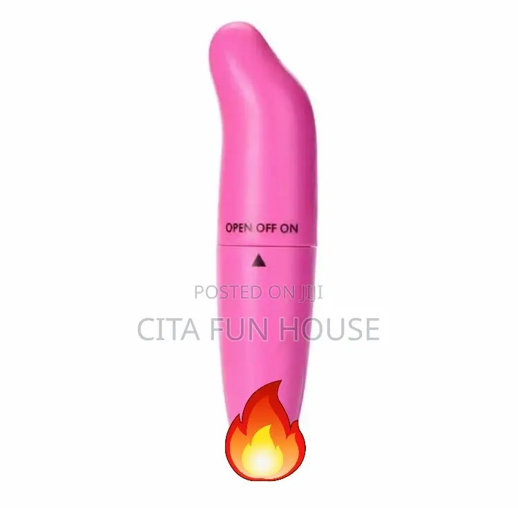Bullet Vibrator Mini Dolphin