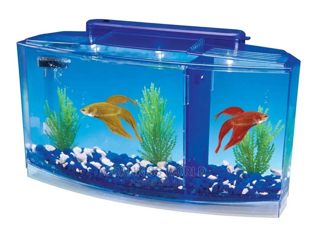 Betta Fish Tank