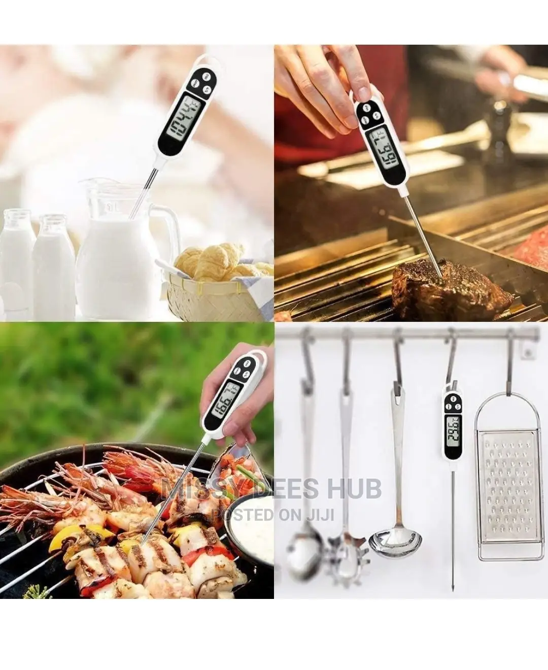 TP300 Digital Food Thermometer