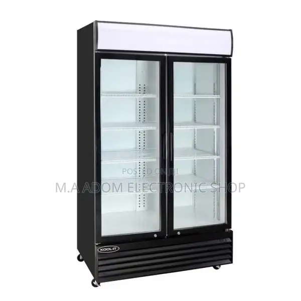 Pearl 600 Litres Refrigerator for Commercial Purposes