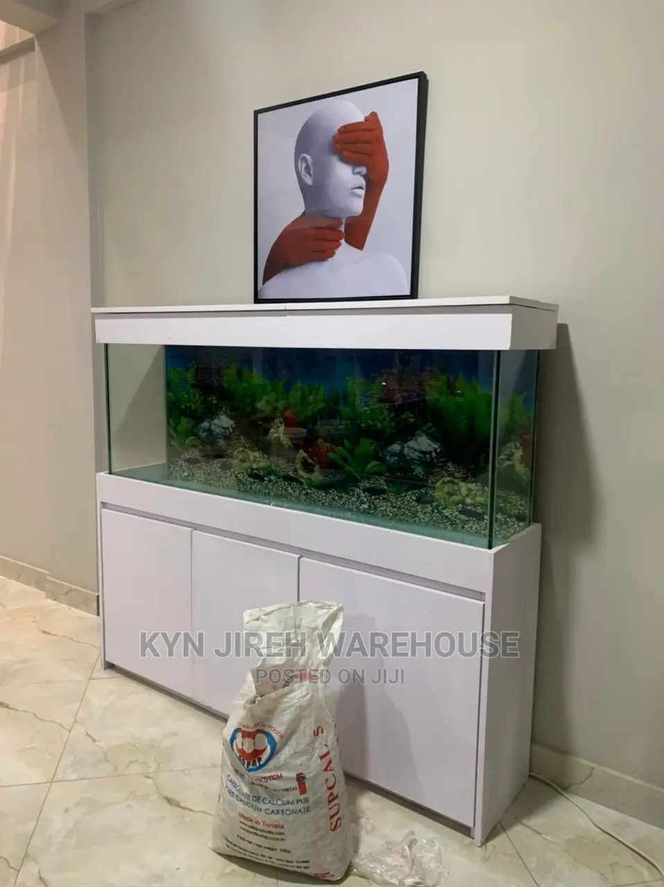 Mr Lee Aquarium With Fishes