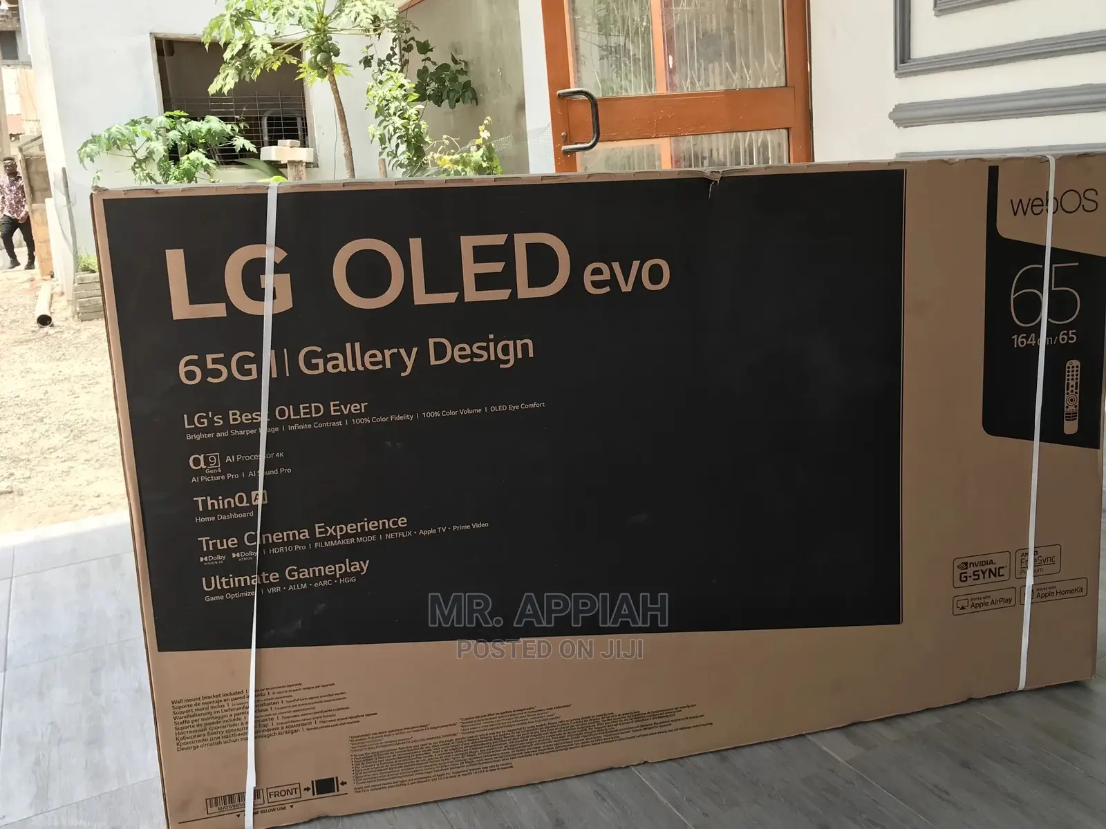 A Big Screen Means a Bigger Entertainment Experience(65G1)