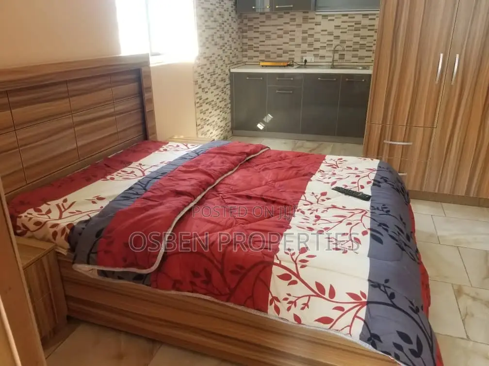 Furnished Studio Apartment in Pleasant Properties, Spintex for Rent