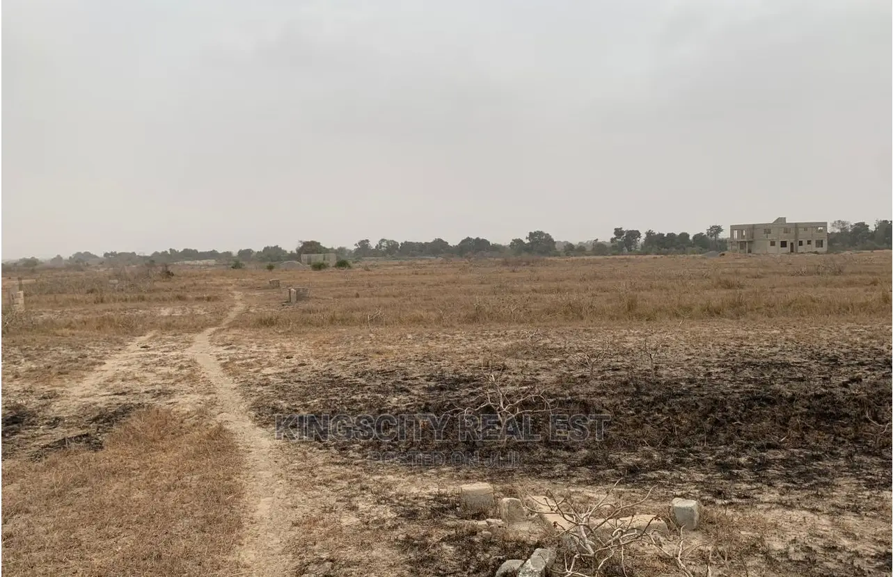 Land Is Wise Choices That Will Result in Long-Term Success