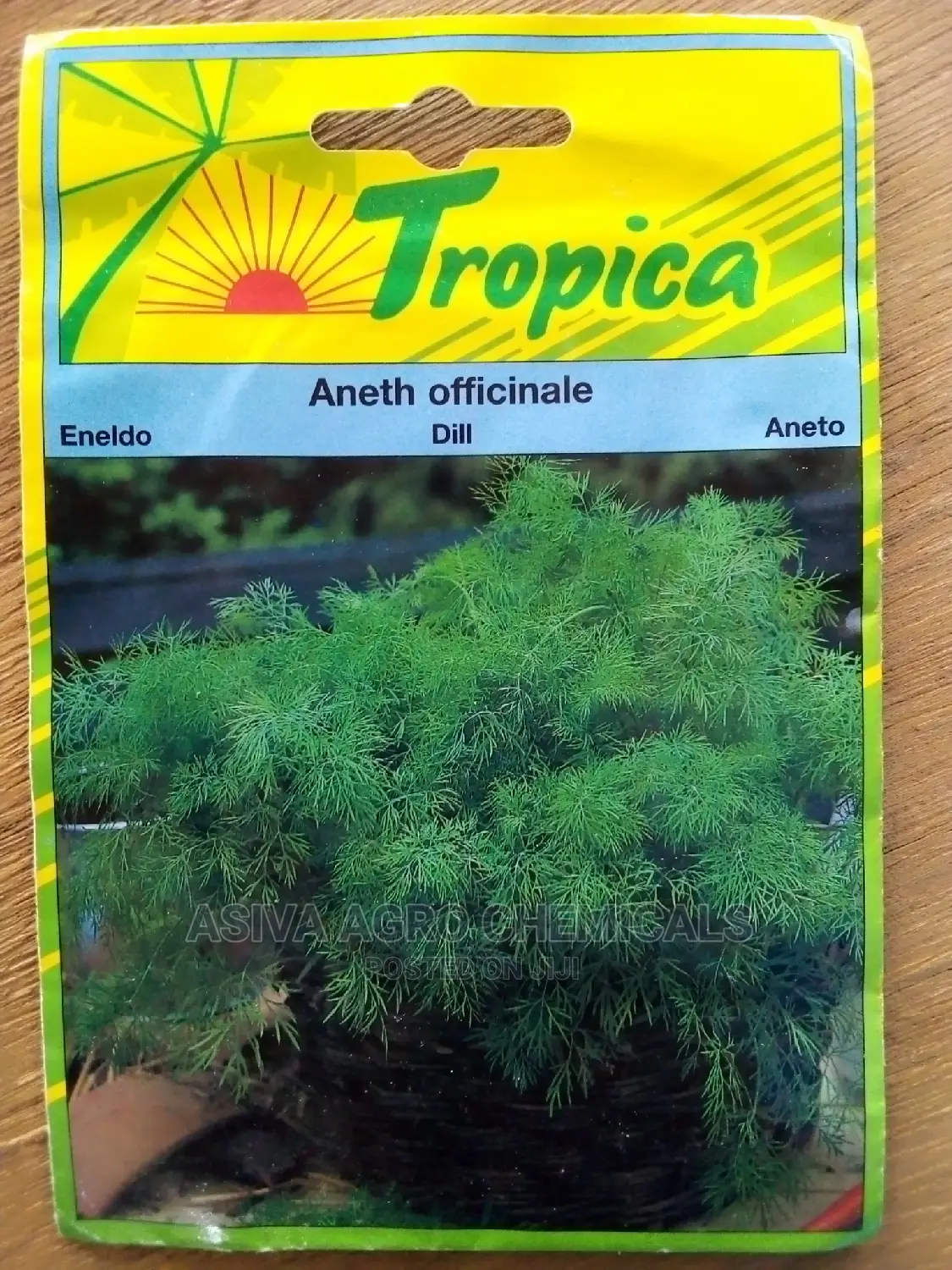 Dill Seeds