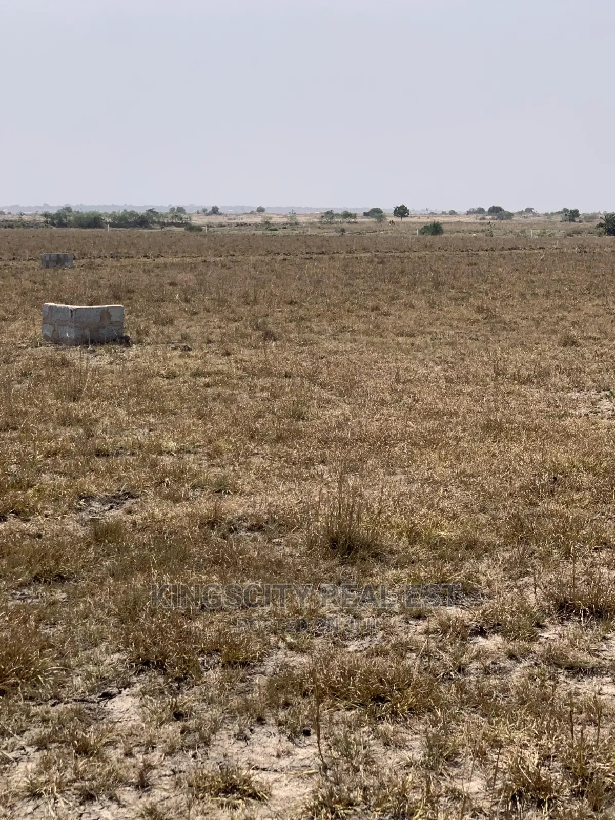 The Community Is Fully Serviced at ''DWELLYS COURT' Our Land