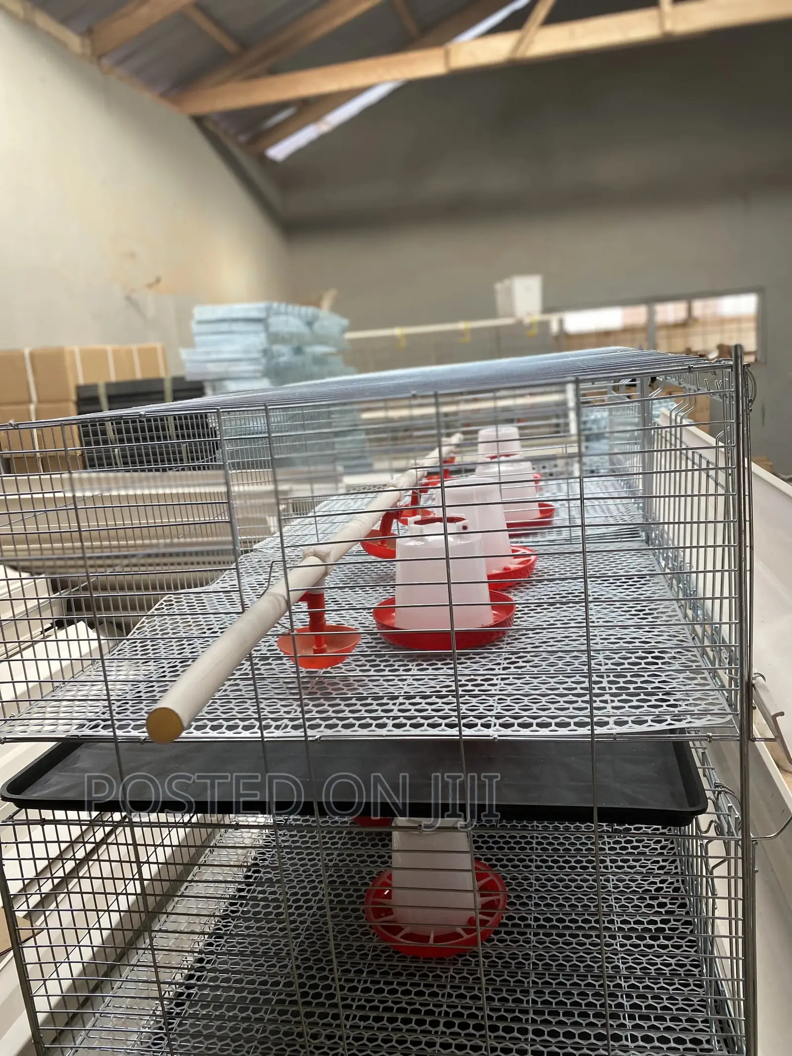 Brooding Cage/ Dayold Cage
