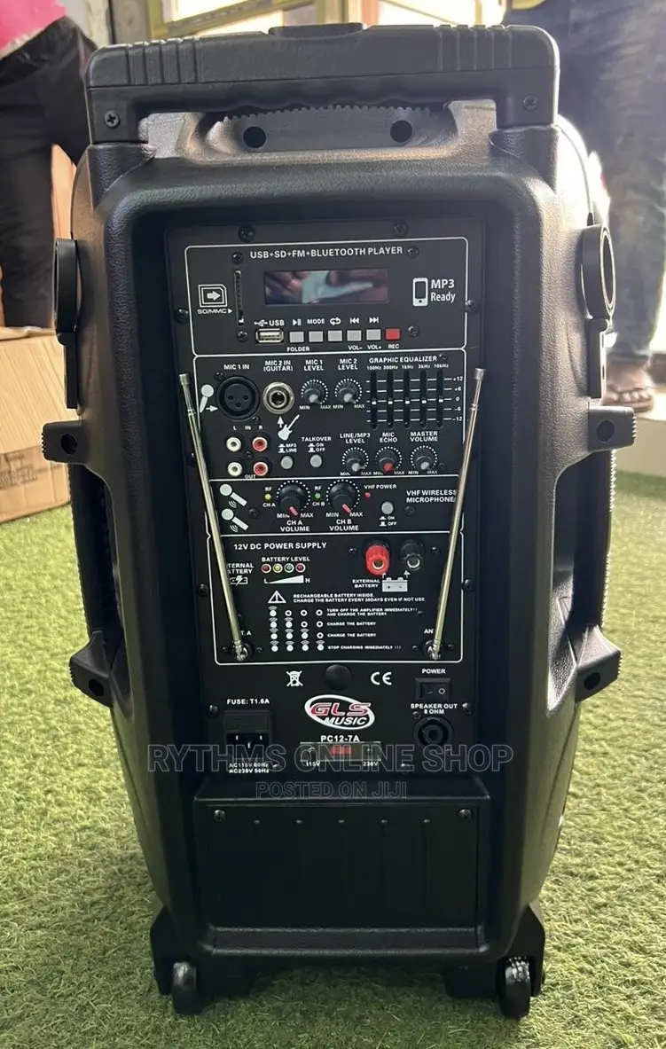 GLS 12” BT Rechargeable Speaker
