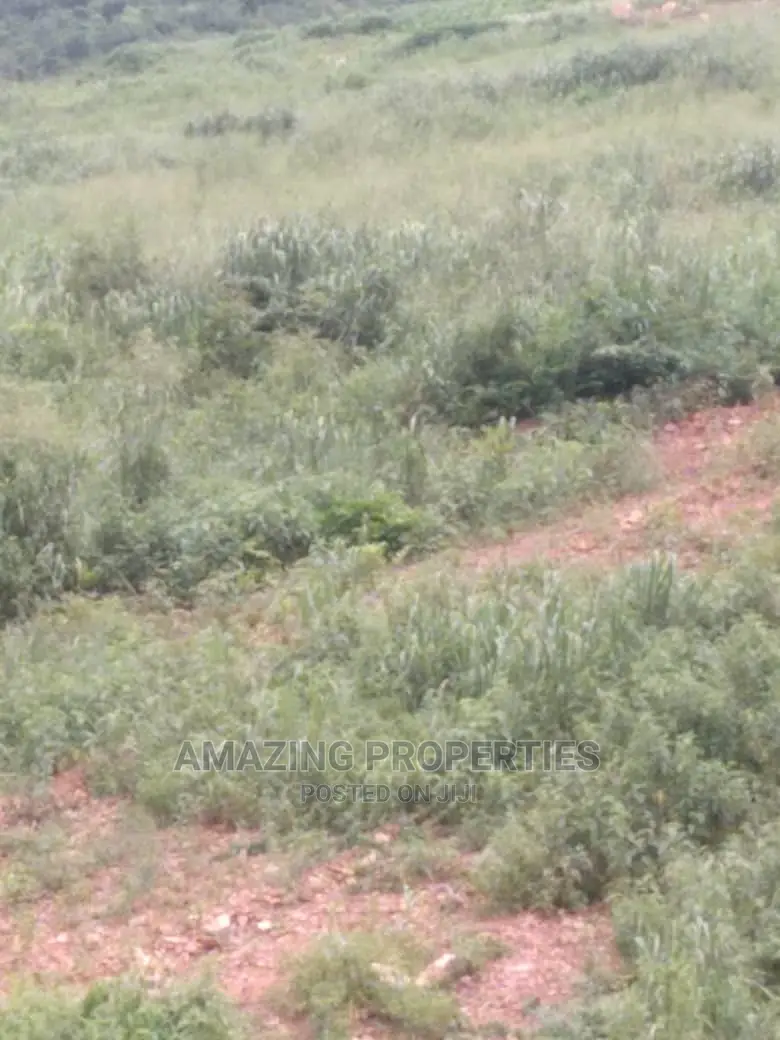 2 Plots of Land at Oyarifa