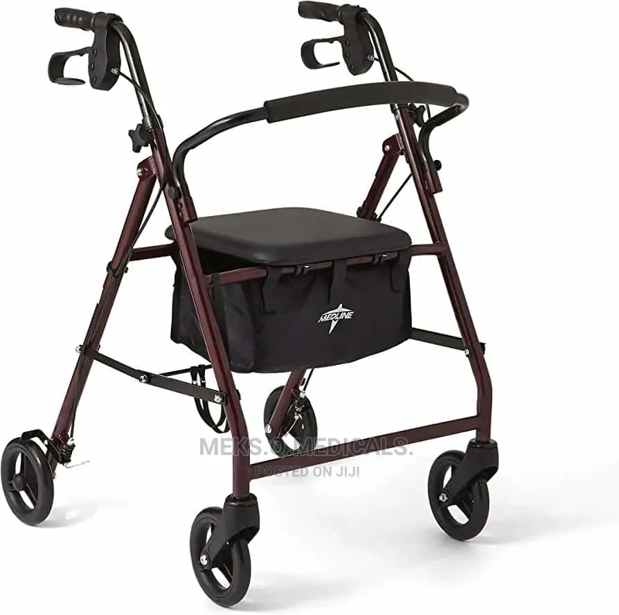 Walker With Rolator Carrier