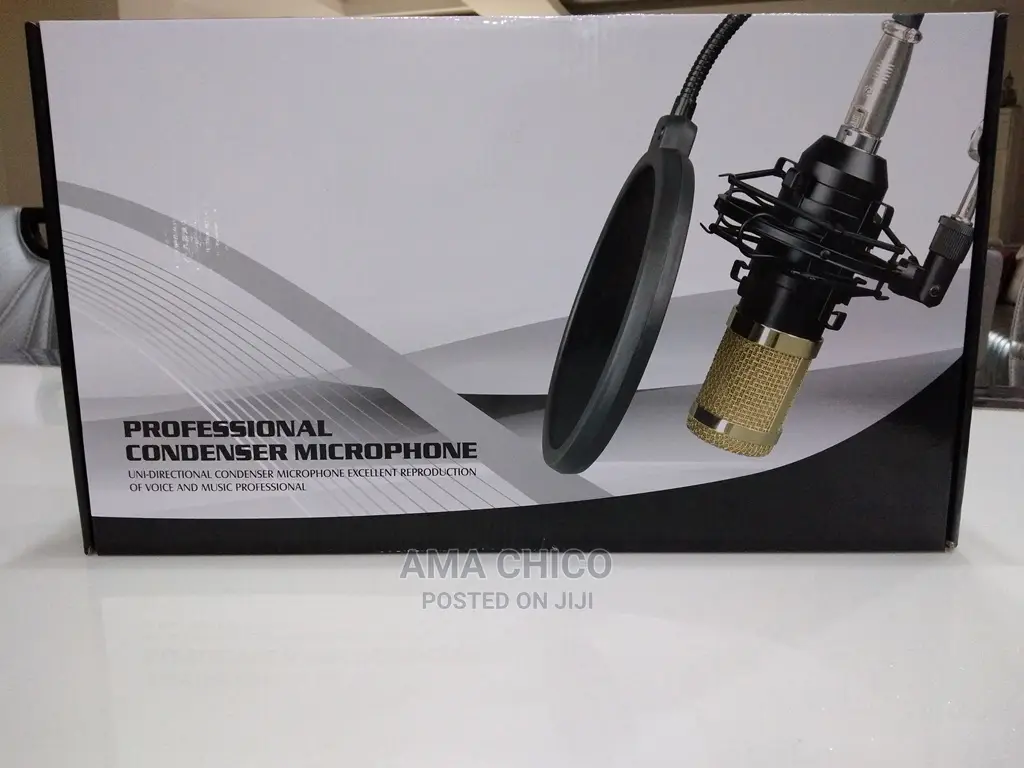 Studio Microphone (Professional Condenser Microphone)