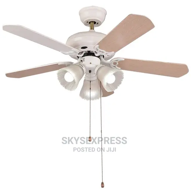 Living Room Nordic Fan With Light