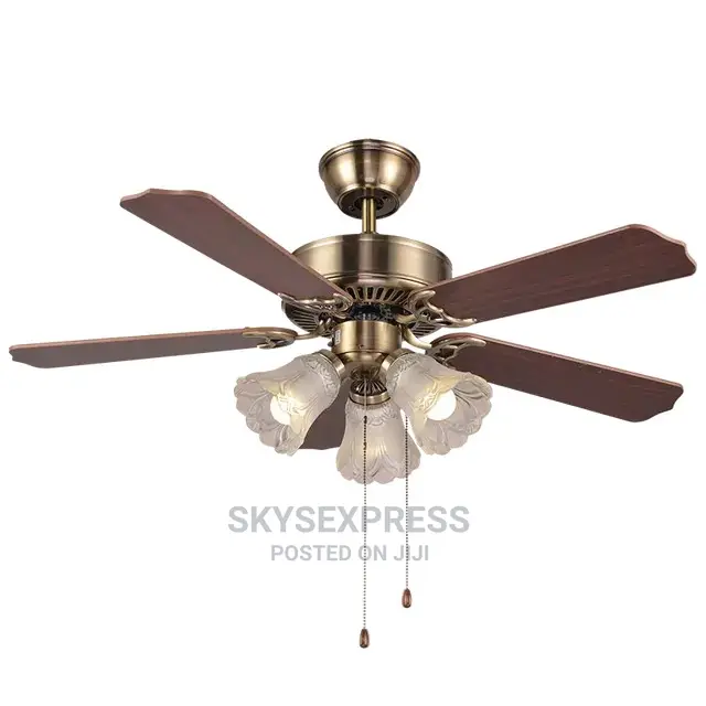 Living Room Nordic Fan With Light