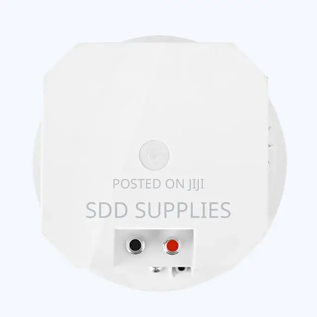 200 Watts Hifi Executive Ceiling Speaker With Back Cover