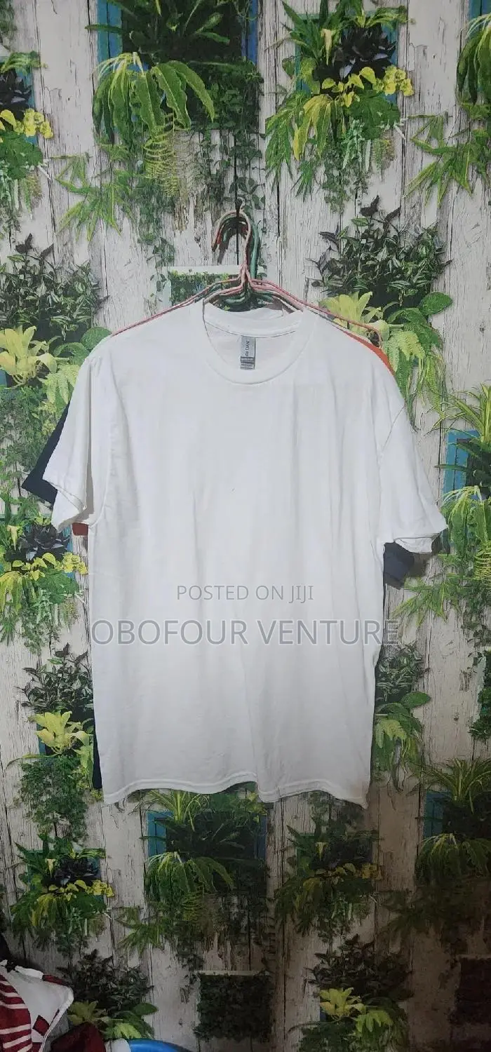 Plain White T-Shirts From the USA