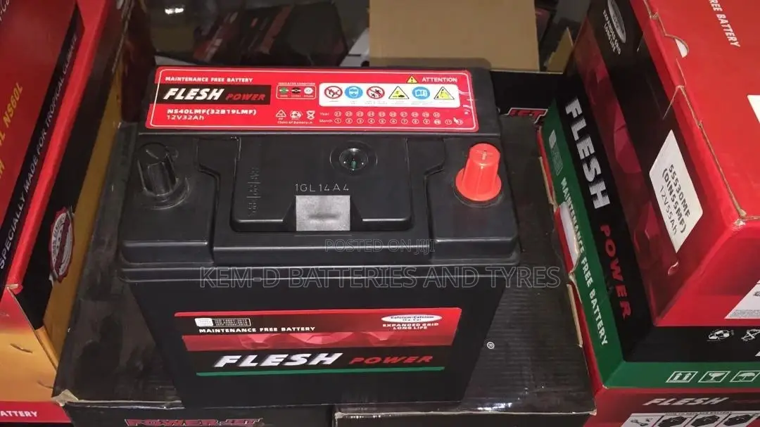 11 Plates Flesh Power Batteries