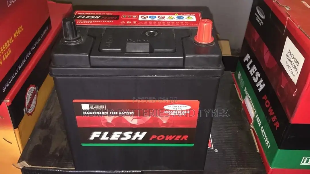11 Plates Flesh Power Batteries
