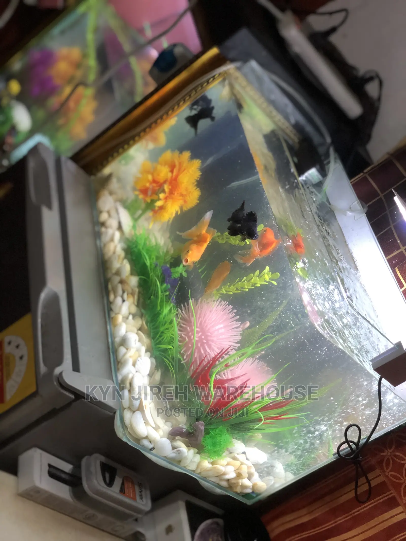 Merlin Tabletop Aquarium With 5 Fishes